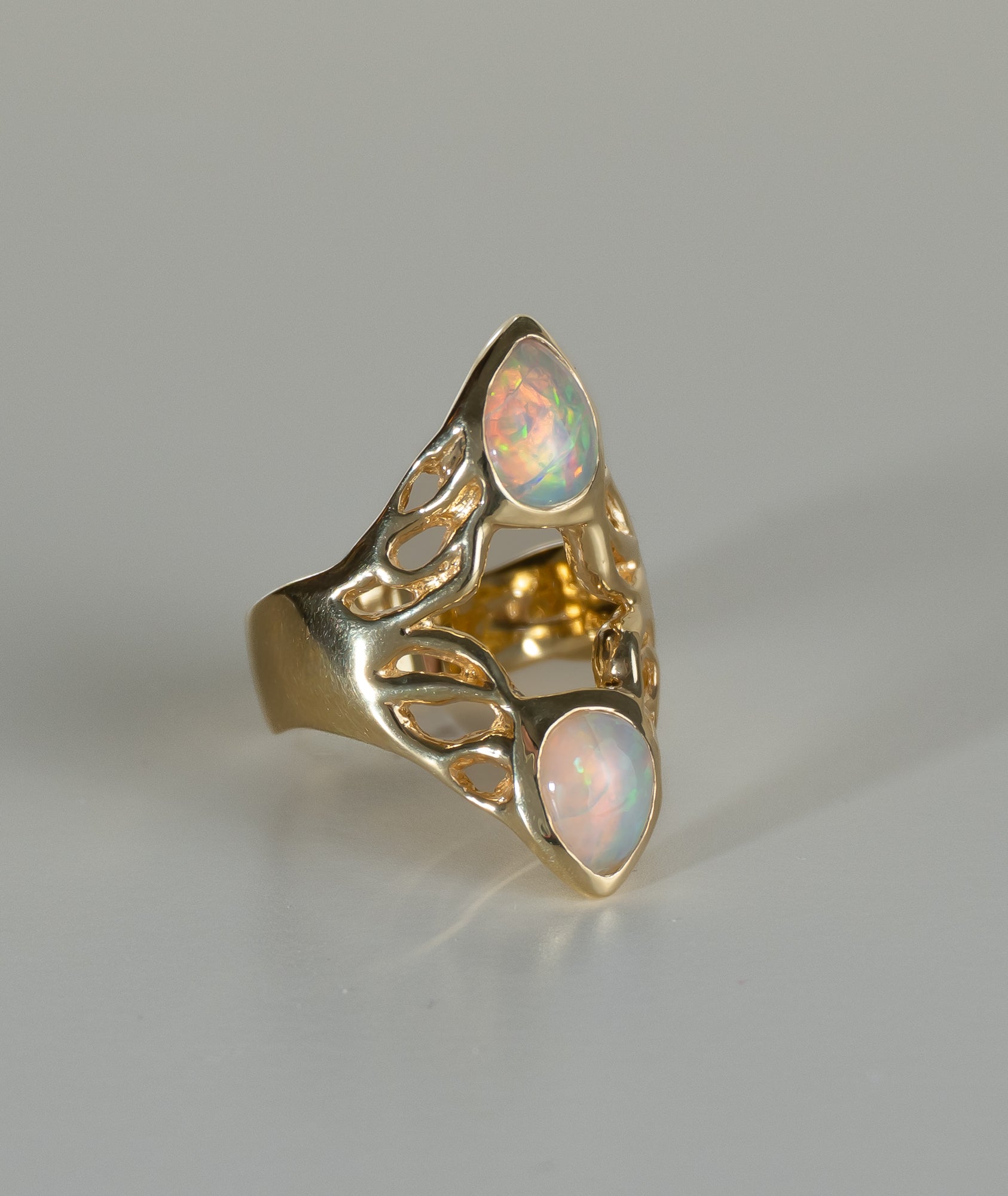 Double Vision Ring